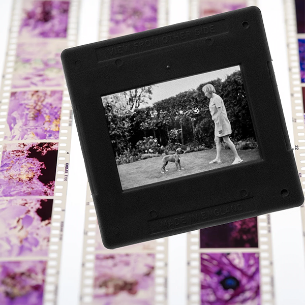 Slide & Negative scanning